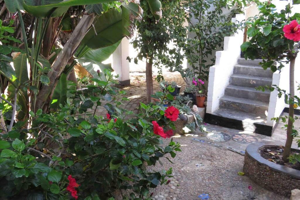 Alternative Space B & B Swakopmund Eksteriør bilde